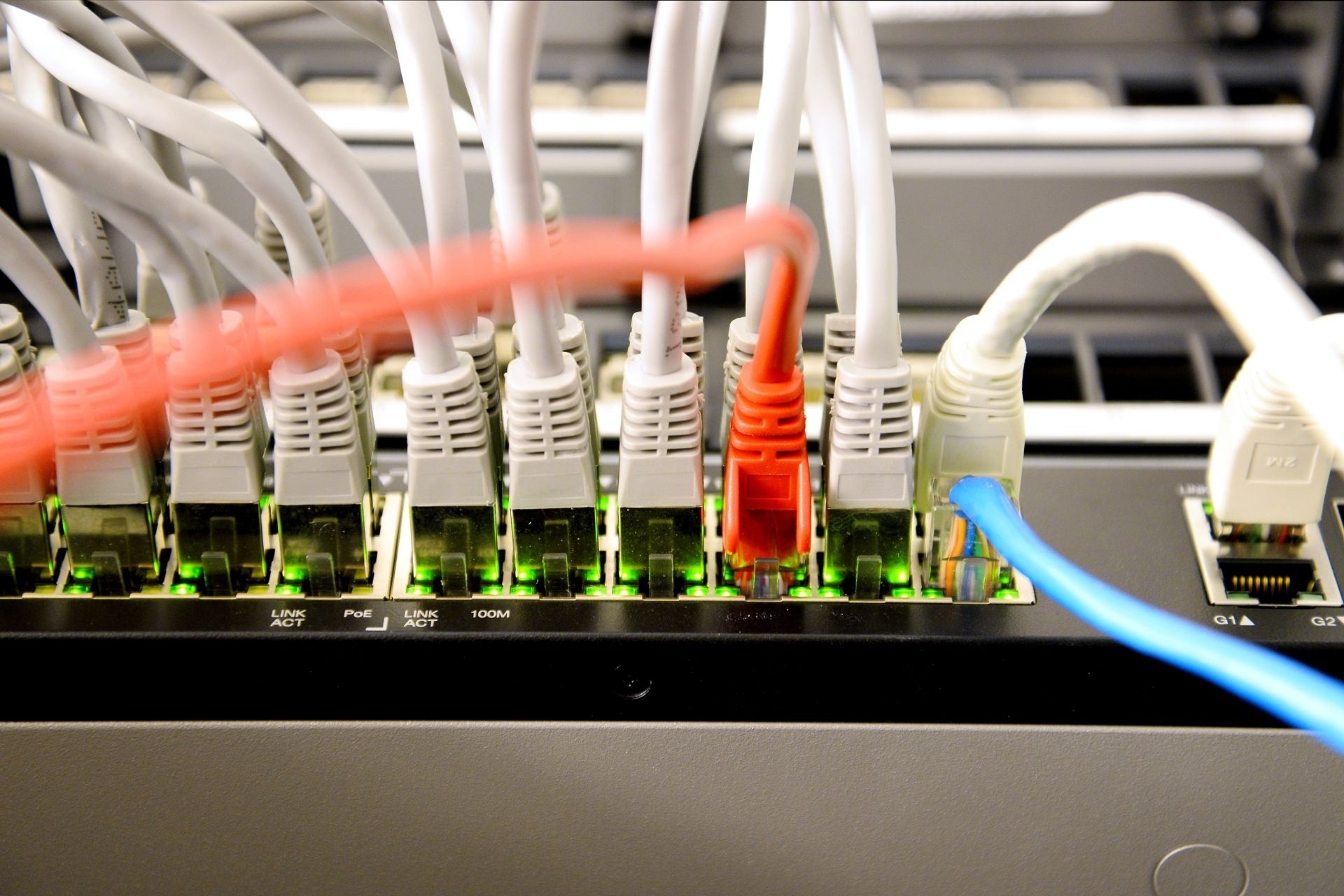 Can a coaxial distribution amplifier support both cable TV and internet signals simultaneously?